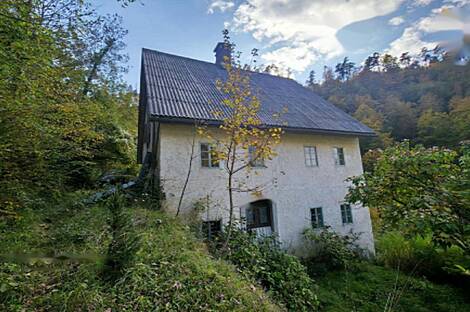 Жилище среди природы: 4