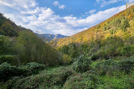 Жилище среди природы: 11