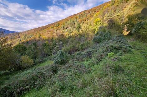 Жилище среди природы: 12