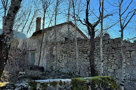 Здание с террасой Голац: 5