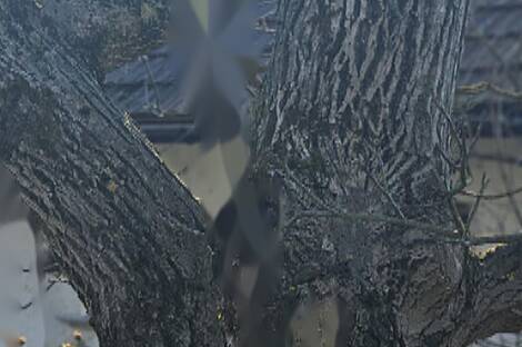 Дом в деревне при Добове: 2