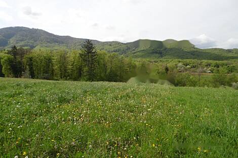 Жилище в Церов Лог: 2