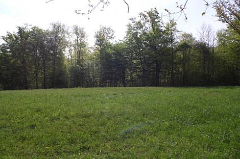 Жилище в Церов Лог: 8