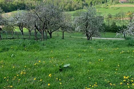 Дом, Юровский Дол: 5