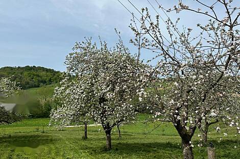 Дом, Юровский Дол: 6