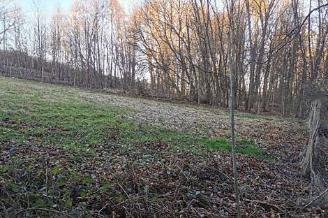 Рачки Врх, дом.: 20