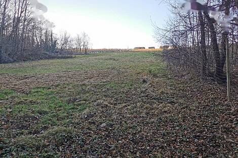 Рачки Врх, дом.: 21