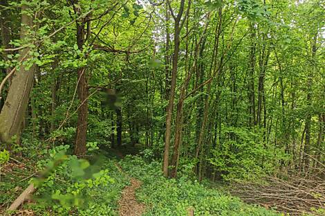 Жилище, друга Чагона: 15