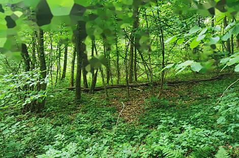 Жилище, друга Чагона: 18