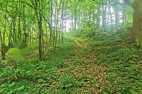 Жилище, друга Чагона: 19