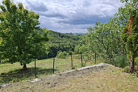 Жилище, Тиболци: 5