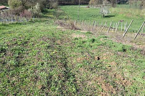 Жилище, Тиболци: 6