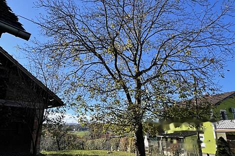 Здание в Чершаке: 8