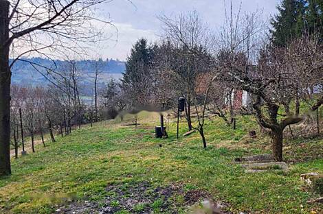 Жилище, Рыавица: 9