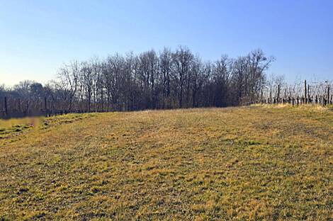 Резиденция Двойчек в Сухи Врх: 25