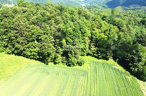 Жилище на Планинском Врхе: 24