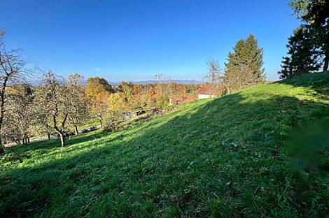 Здание у реки Крка: 25