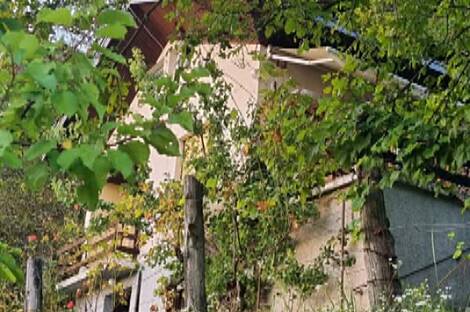 Квартира в природной зоне Нарапла.: 5