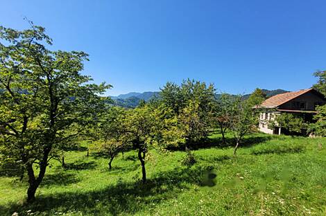 Жилище, Добрава: 3