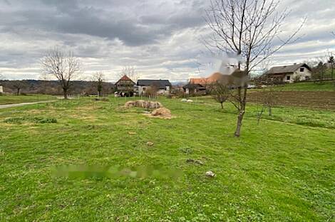 Жилище в Ореховце: 2