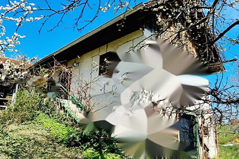 Вирштань дом: 10