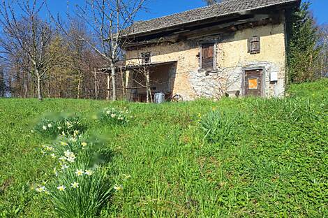 Жилище в Осредеке возле Подсреды: 1