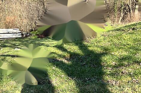 Здание в Храсте об Бистрице: 14