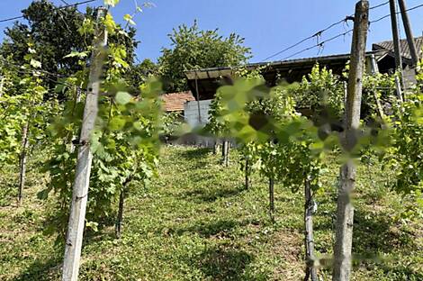 Жилище, Бельски Врх: 19