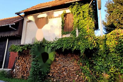 Квартира для двух семей в Капеле: 2