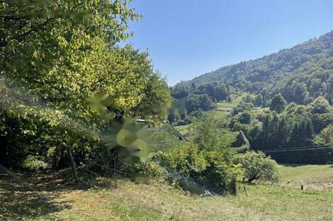 Жилище, судно-Вась: 10