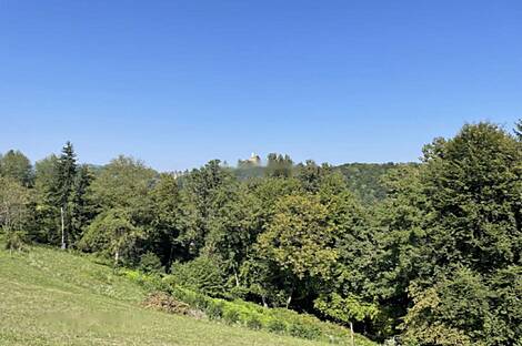 Жилище, судно-Вась: 13