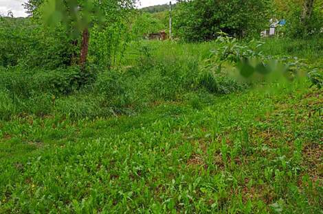 Жильё в Дольня-Битня: 5