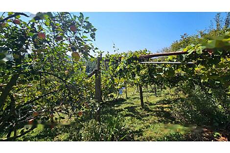 Глобоковский дом: 5