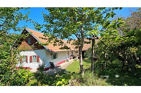 Глобоковский дом: 25