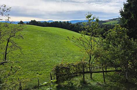 Дом, Планица: 5