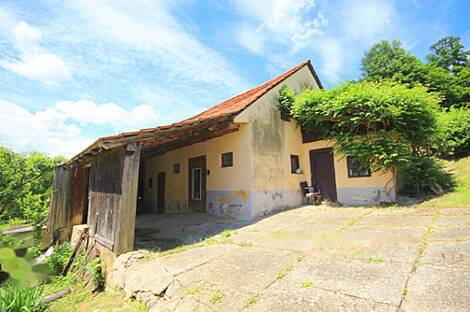 Дом, Копривница, Армия: 7