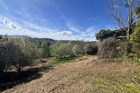 Квартира, Верхняя Корена: 7