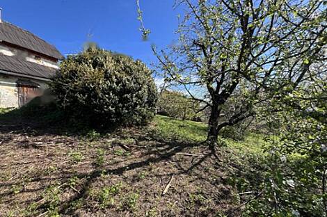 Квартира, Верхняя Корена: 19