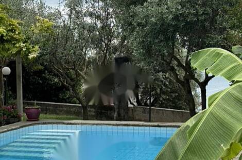 Жилище, Порторож: 16