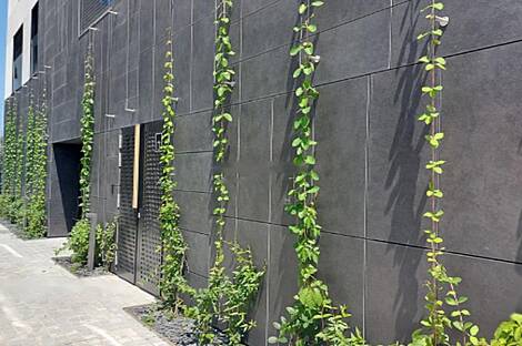 Апартаменты с четырьмя комнатами Шишка: 7