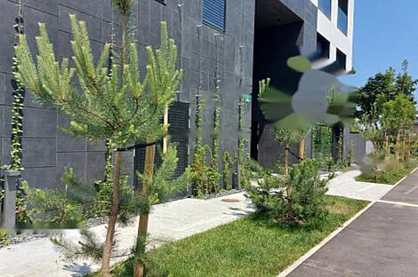 Апартаменты с четырьмя комнатами Шишка: 8