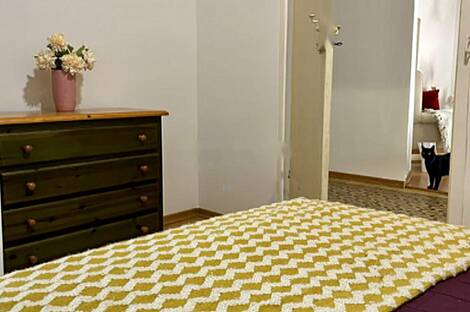 Центральное расположение, квартира с более чем пятью комнатами: 23