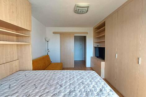 Квартира с одной комнатой в Любляне: 6