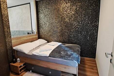 Полуторакомнатная квартира Шишка: 5