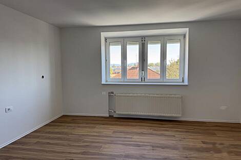 Однокомнатная квартира Шишка: 1