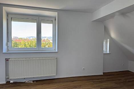 Однокомнатная квартира Шишка: 24