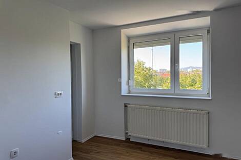 Однокомнатная квартира Шишка: 25