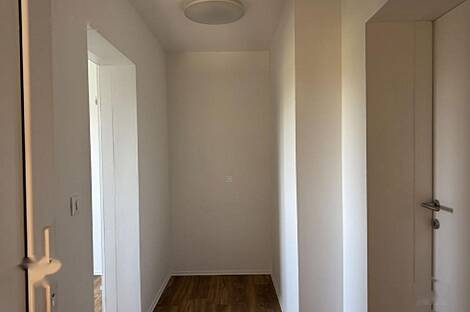 Однокомнатная квартира Шишка: 26