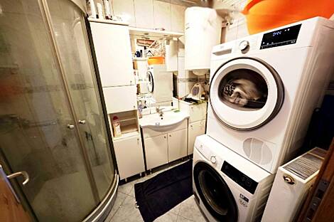 Трёхкомнатная квартира в районе Дравле: 11