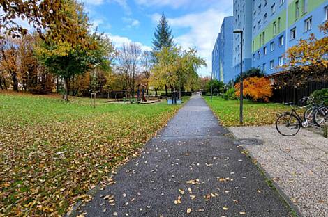 Студия в Дравле: 1